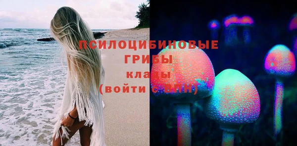 мет Арсеньев