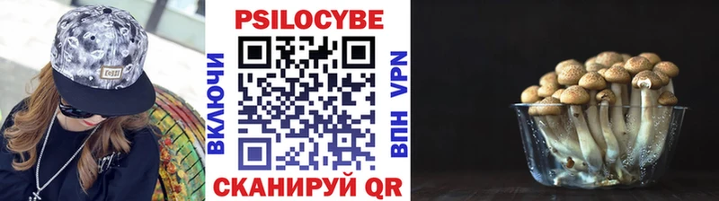 Галлюциногенные грибы GOLDEN TEACHER  Шлиссельбург 