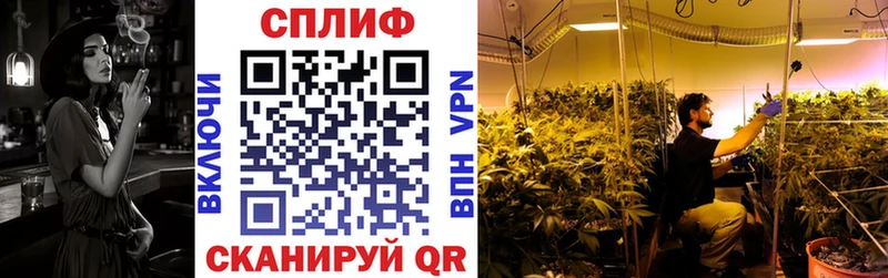 купить наркотик  Шлиссельбург  Конопля семена 